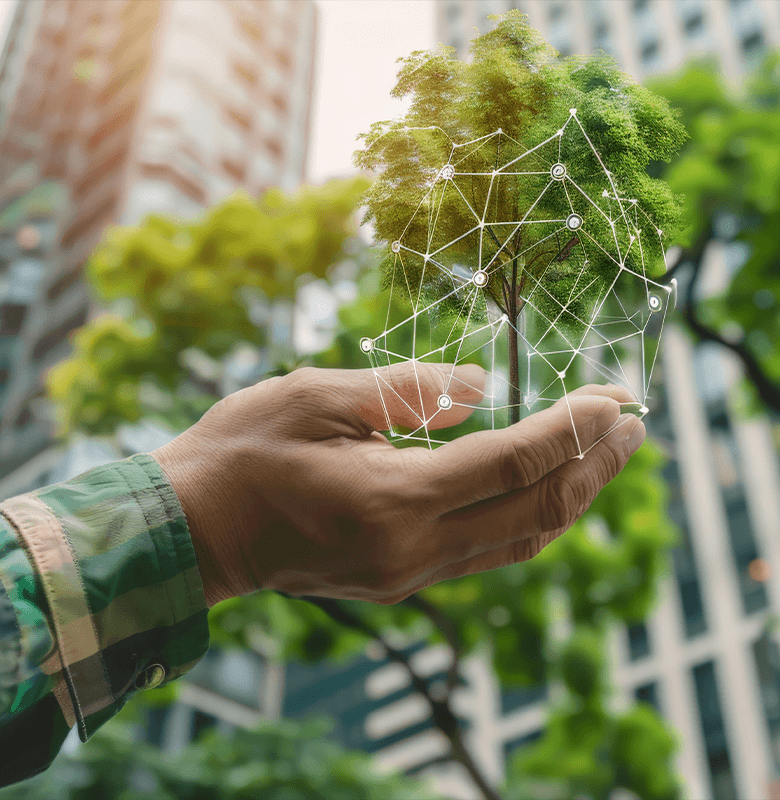 Sustentabilidade